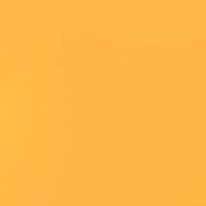 EVERYTHING BEYOND THIS POINT IS SOLD